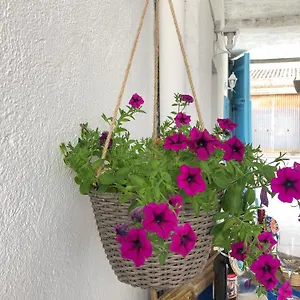 Frühstückspension Le Janas, Càbras